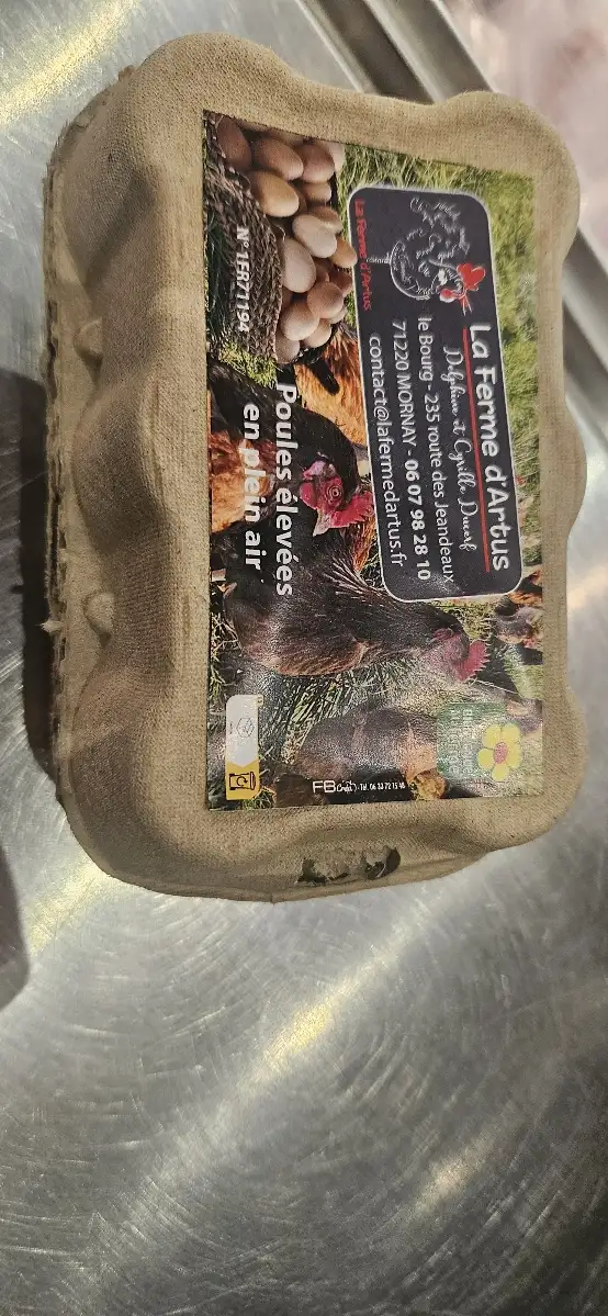 Œufs de ferme Poules élevées en plein air