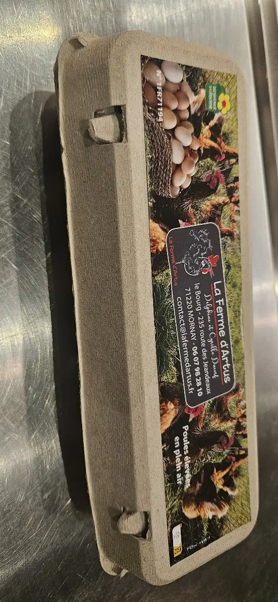 Œufs de ferme Poules élevées en plein air